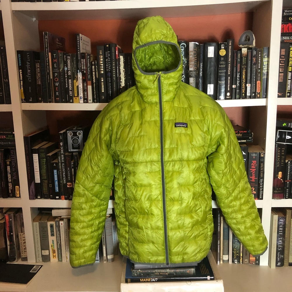 Patagonia Micro Puff Hoody